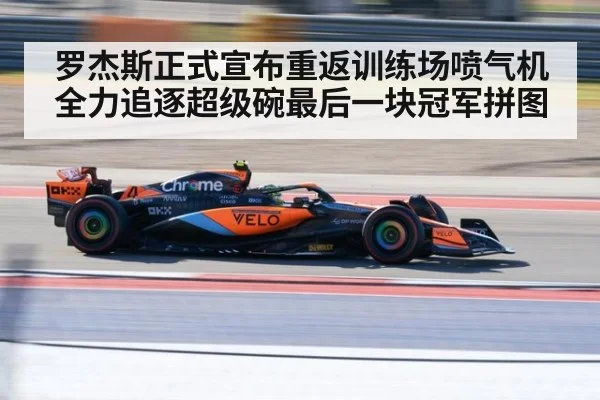 罗杰斯正式宣布重返训练场喷气机全力追逐超级碗最后一块冠军拼图
