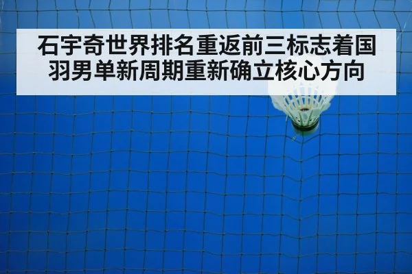 badminton court perspective